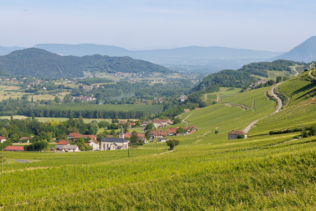 R&uuml;ckblick auf Jongieux