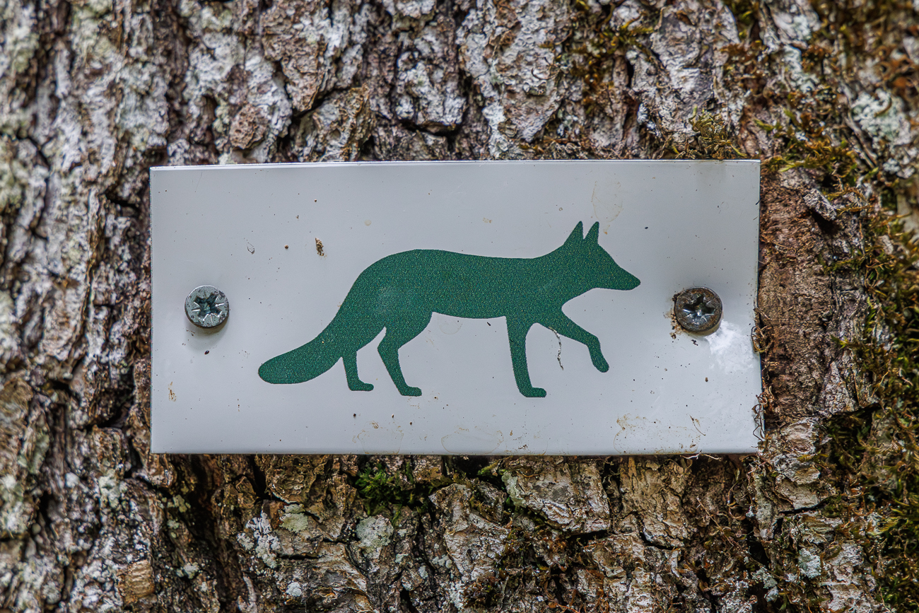 Wetterbedingt entscheiden wir uns f&uuml;r den nicht so langen Weg "Renard" (Fuchs) mit einer L&auml;nge von gut 5 Kilometern