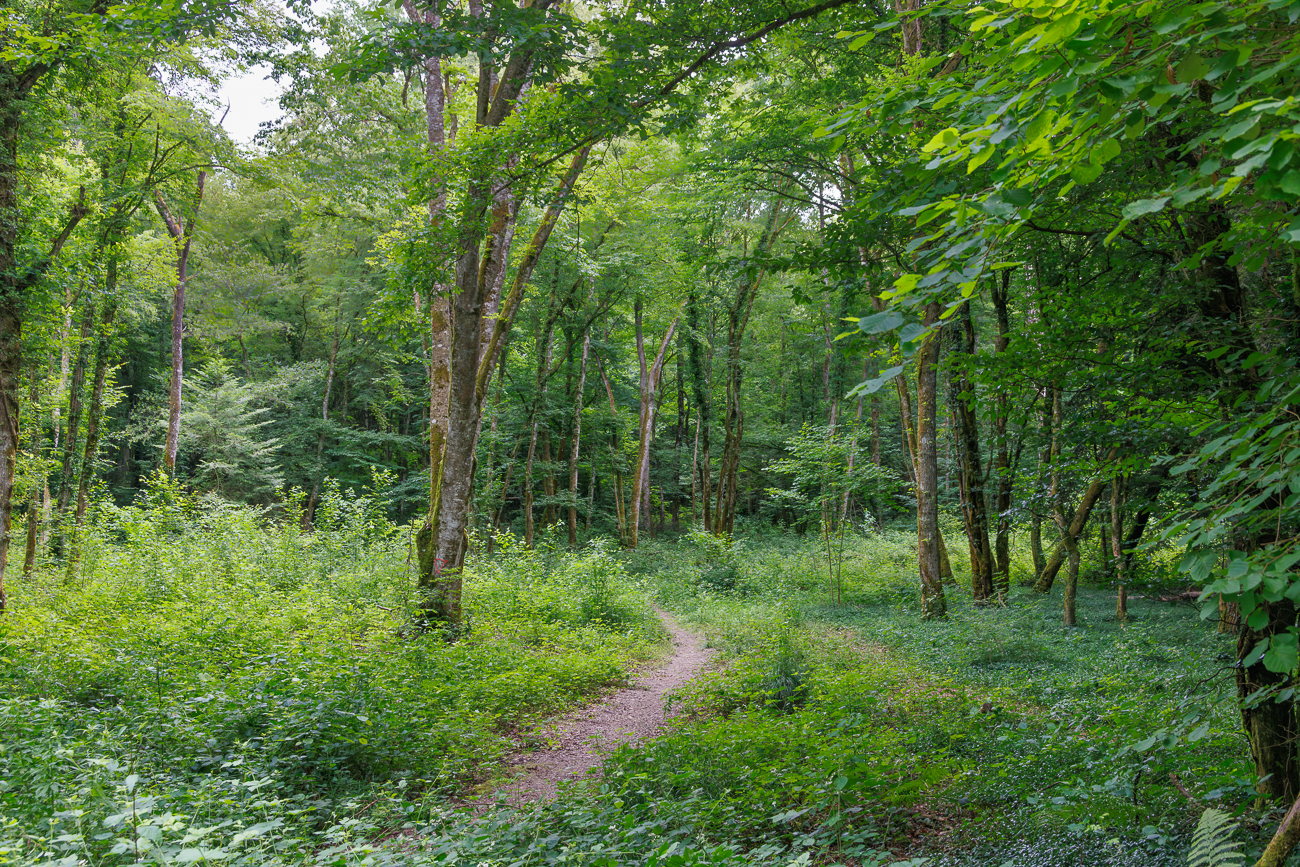 Hier wird der Weg schmaler