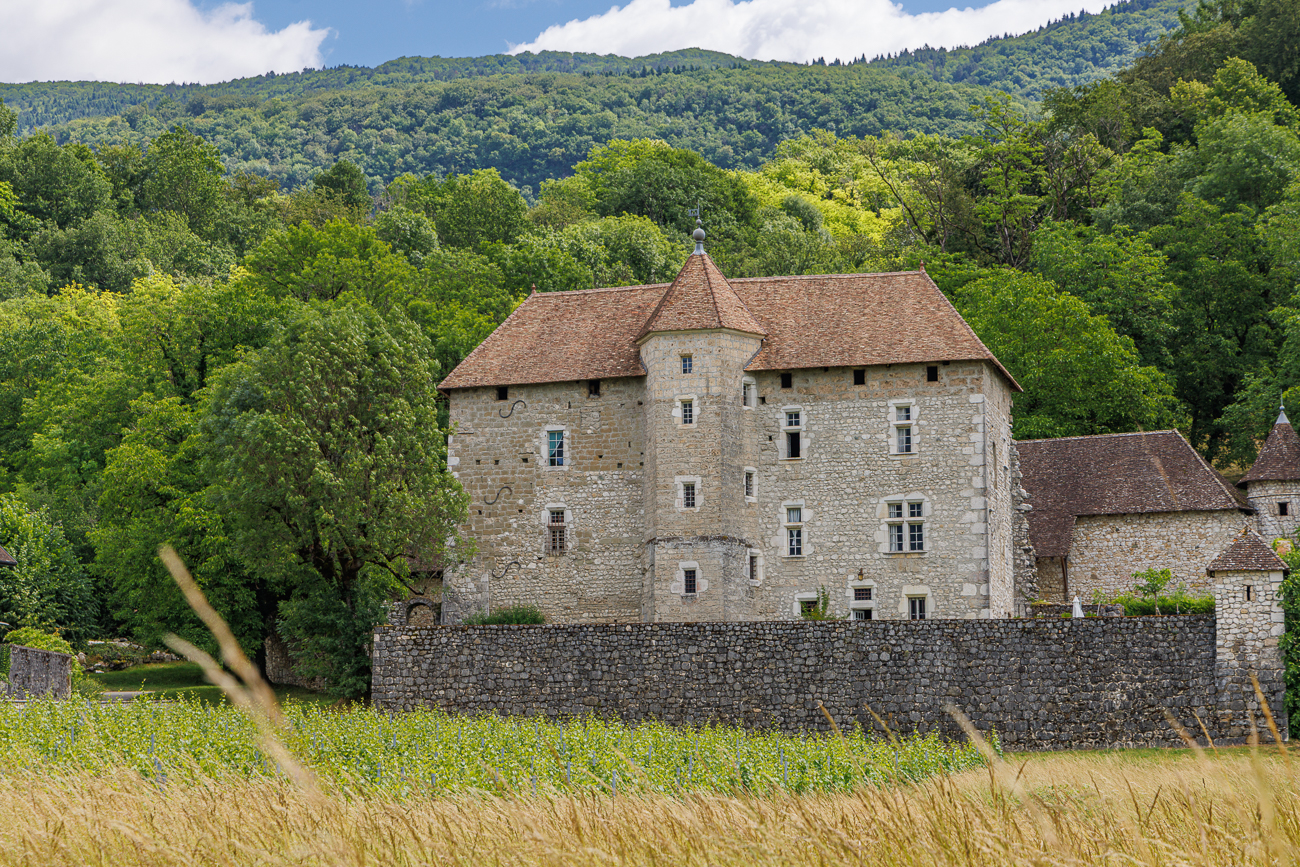 Am Ch&acirc;teau De Mecoras