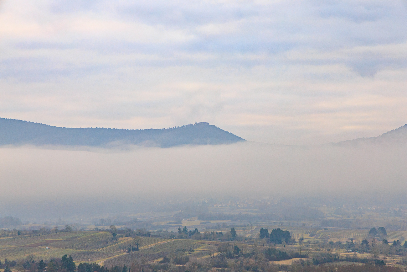 Blick in die neblige Landschaft
