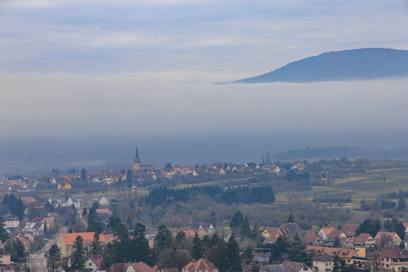 Blick in die neblige Landschaft