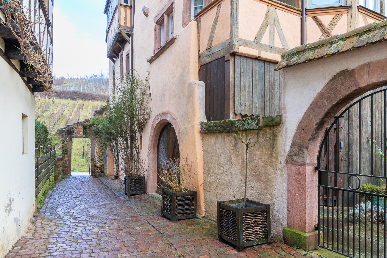Bilder aus dem alten Riquewihr, im Hintergrund Weinberge