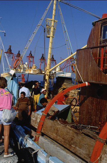 Fischer entladen ihr Boot