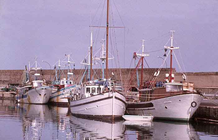 Im Hafen von Olbia