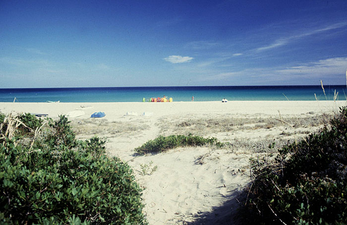 Blick zum Strand