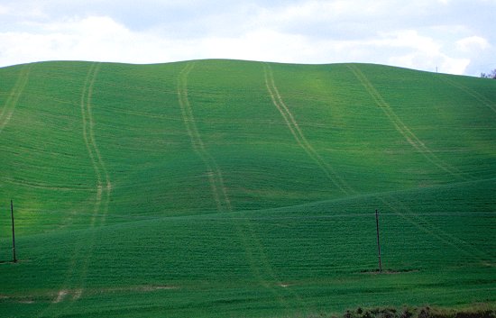 Wieder mal grüne Aussichten