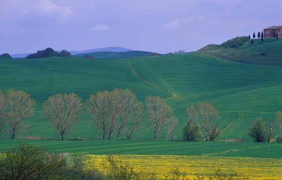 ... in wunderschöner Landschaft