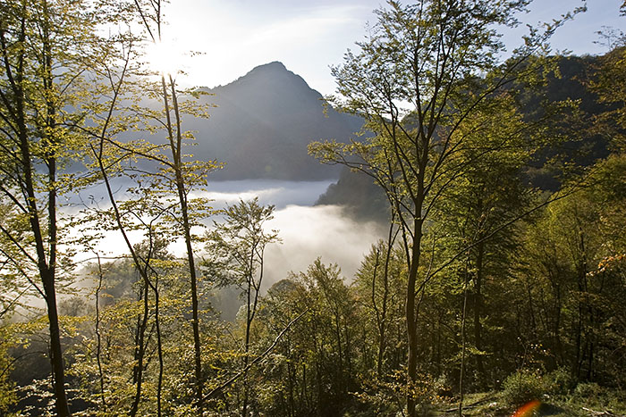 Nebel im Tal