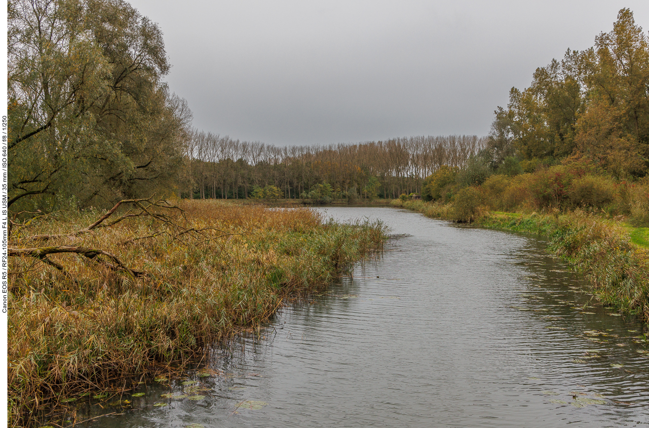 Flussarm durch den Biesbosch