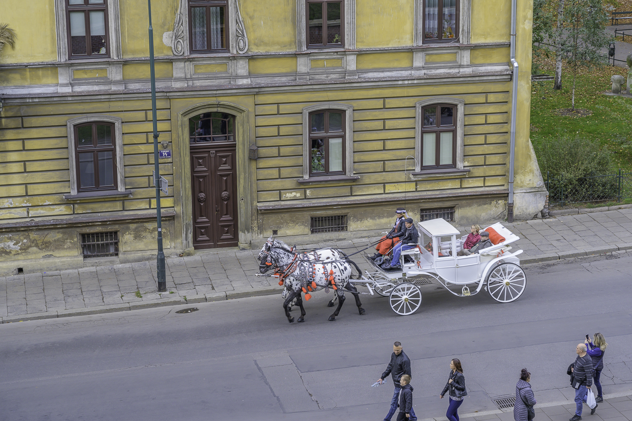 In Krakau kann man sich auch mit einer Kutsche umherfahren lassen