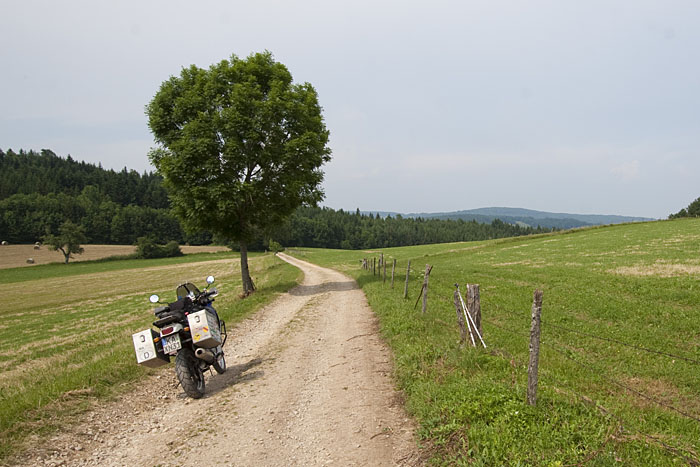 ... werden von asphaltlosen Bändern durchschnitten