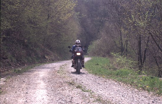 Vroni unterwegs auf Waldwegen im slowenisch-italienischen Grenzgebiet