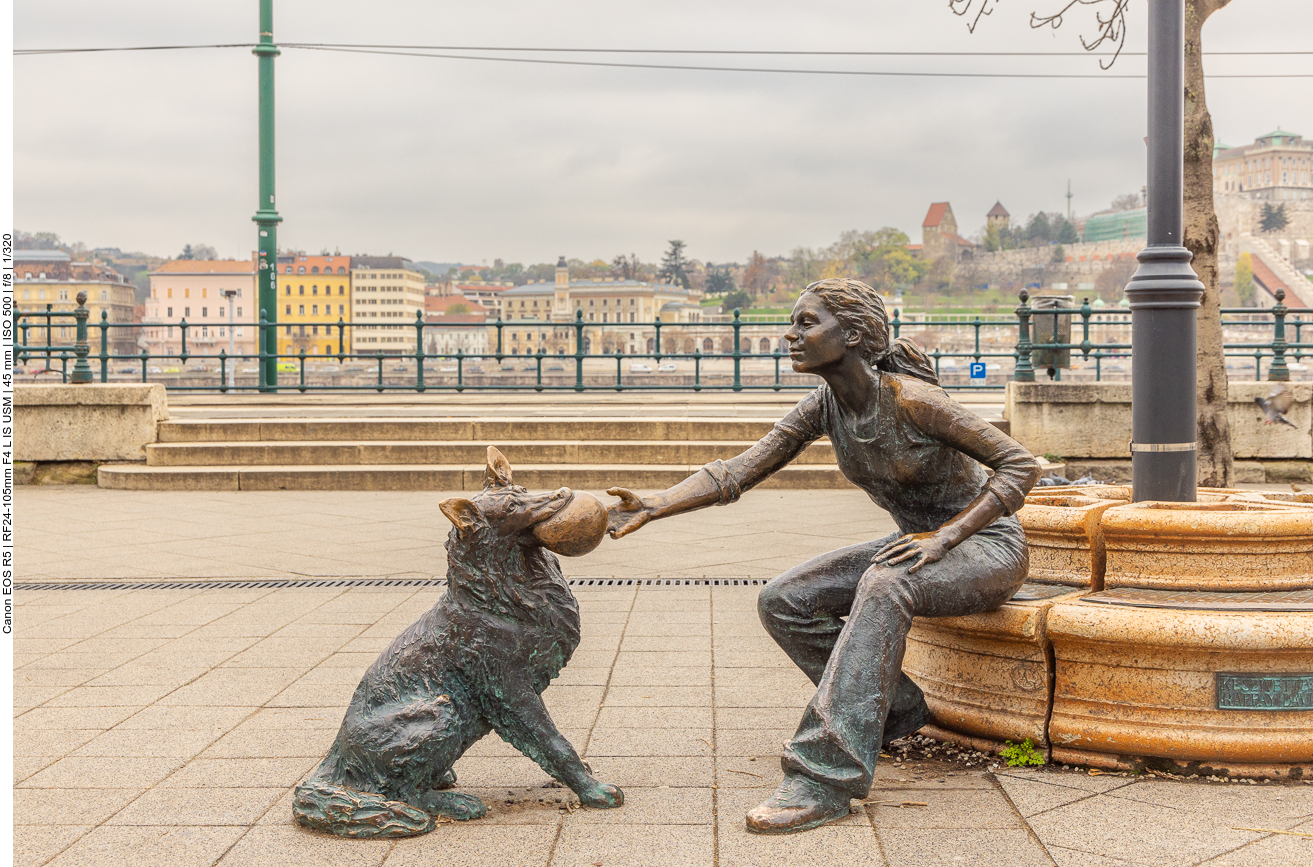 Mädchen mit Hund, Skulptur von Raffay Dávid