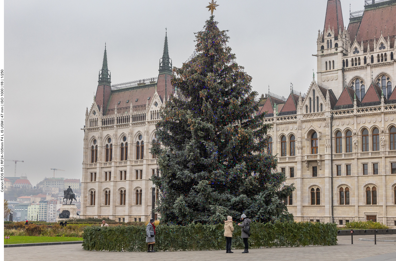 Weihnachtsbaum am Parlament