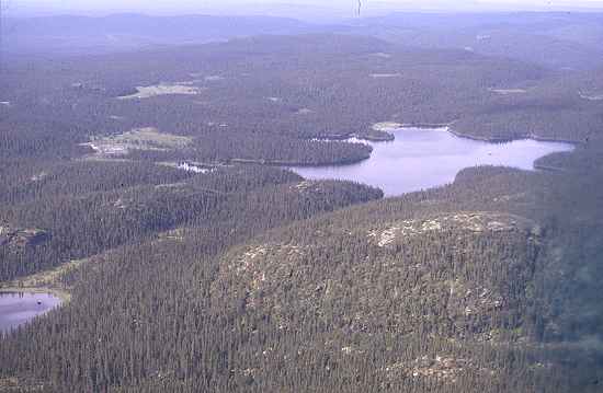 Labrador von oben, Wasser, Wald, Wasser, Wald ...