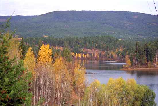 Heimat von Bibern und Bären