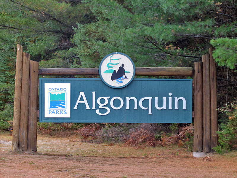 Wir erreichen den Algonquin Provincial Park