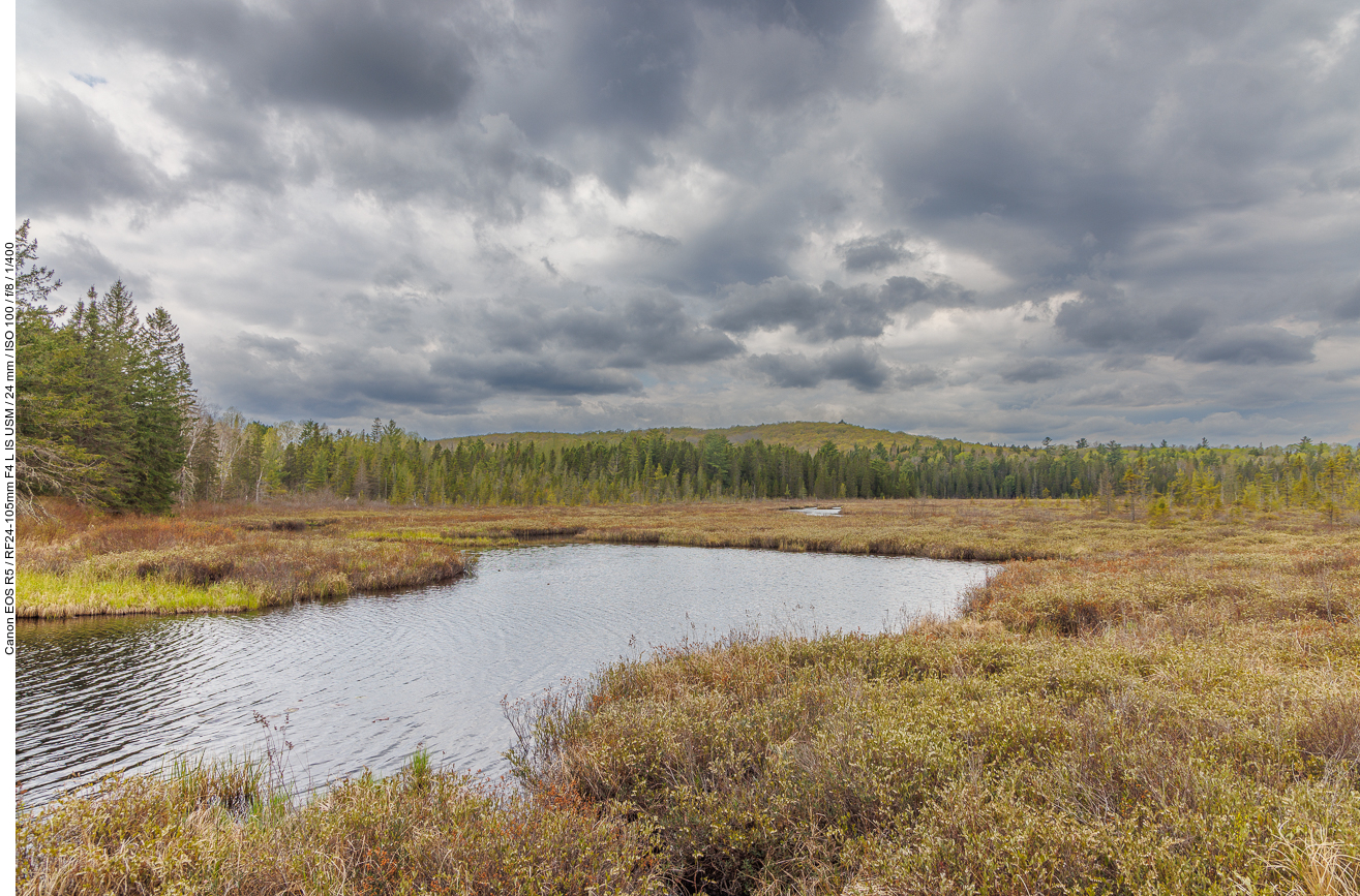 Moorlandschaft