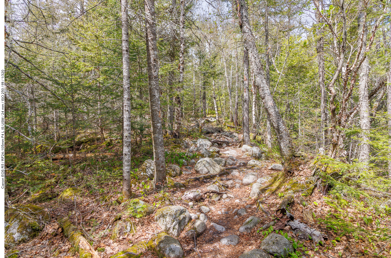 Fast der ganze Trail am Sand River ist so steinig