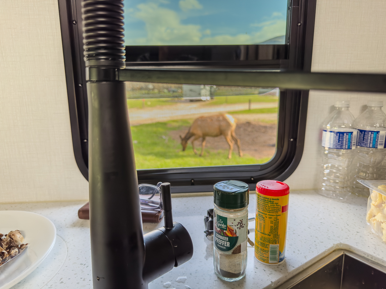 Hier direkt vor unserem Küchenfenster