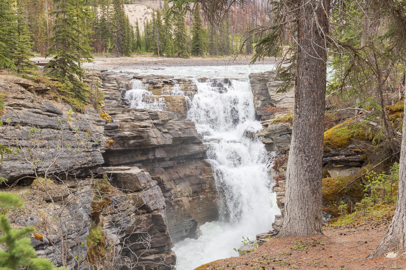 Athabasca Falls
