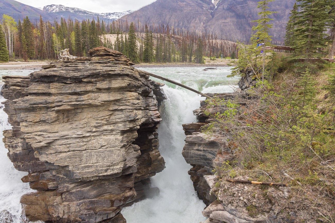 Athabasca Falls