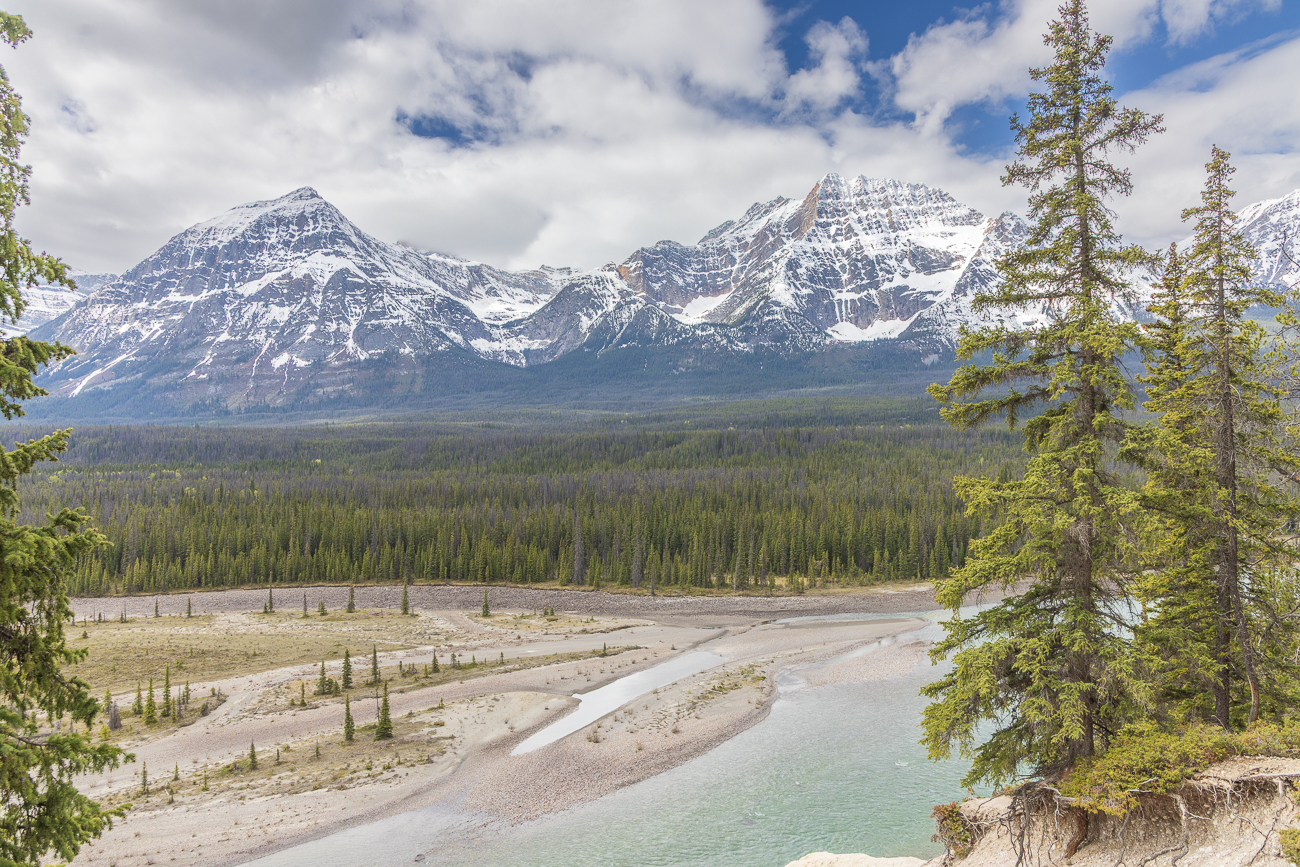 Blick ins Athabasca Valley