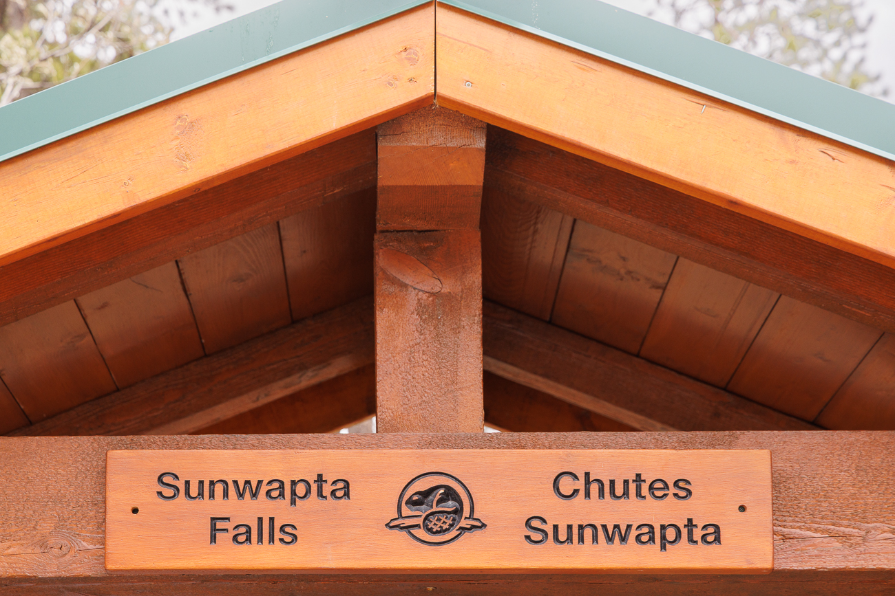 Bei den Sunwapta Falls
