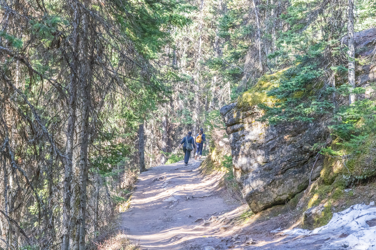 Durch den Wald geht es recht steil den Berg hinauf. Tats&auml;chlich ist es viel dunkler, als es das Bild glauben l&auml;sst