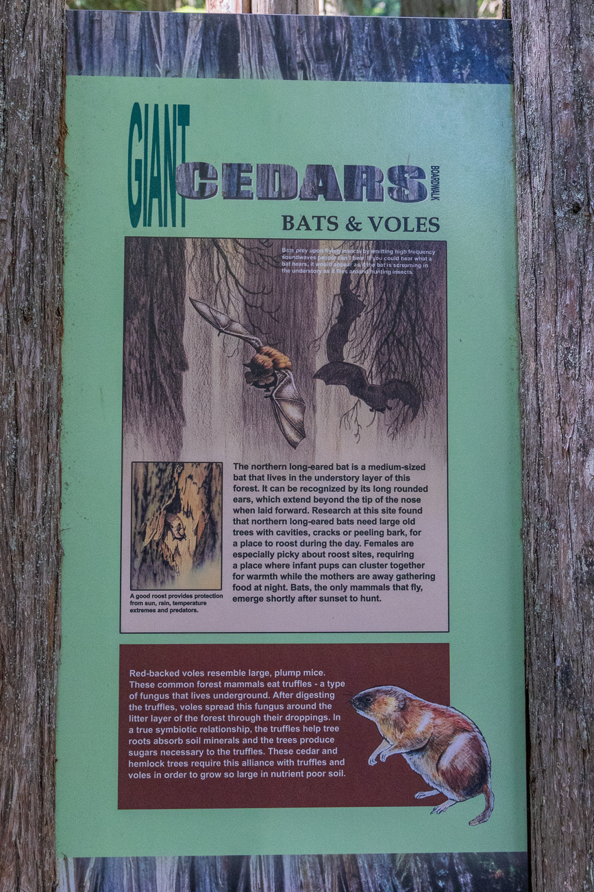 ... sind Fleder- und W&uuml;hlm&auml;use beheimatet