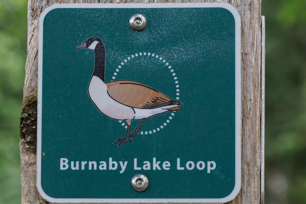 Kernnzeichnung des Wanderwegs "Burnaby Lake Loop"