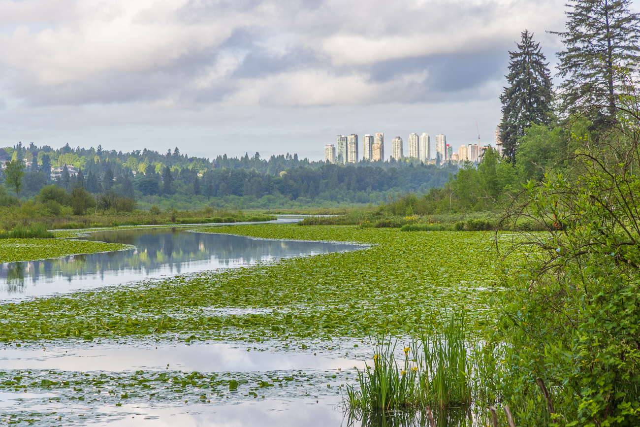 Hier sieht man, wie Nahe Gro&szlig;stadt und Naturreservat beieinander liegen