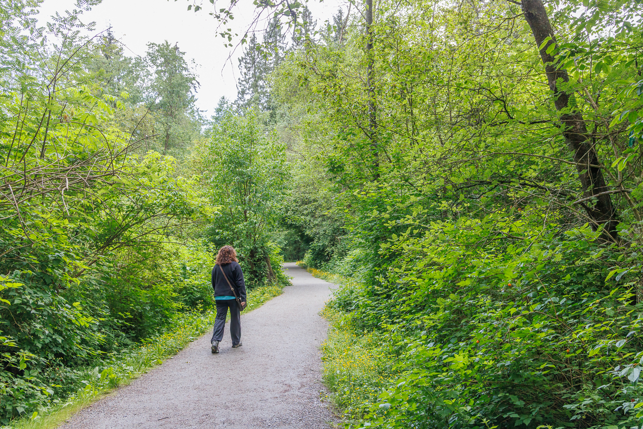 Der Weg f&uuml;hrt durch Buschlandschaft ...