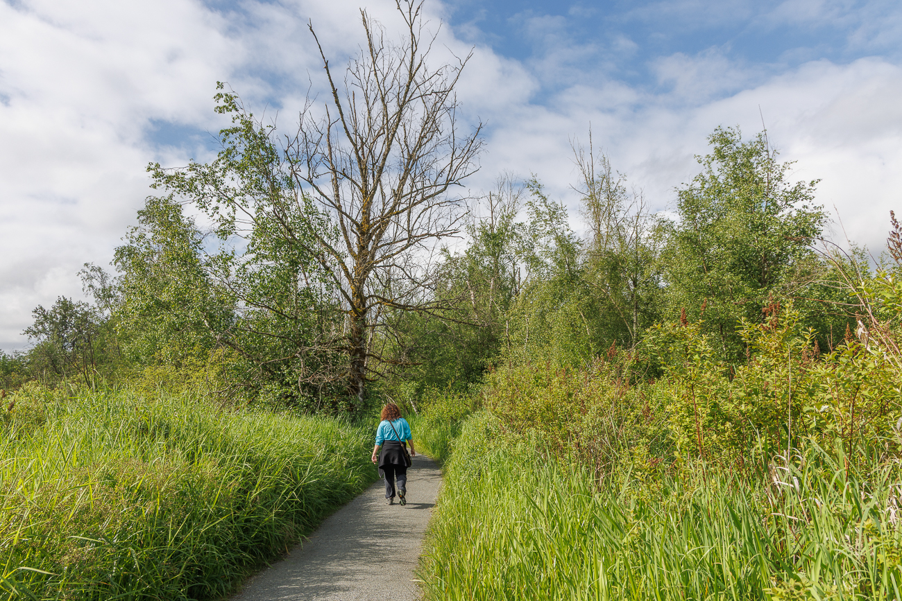 ... wir haben B&auml;renspray dabei, die anderen Wanderer und Jogger nicht. Die Einheimischen sind an B&auml;ren gew&ouml;hnt ;-)