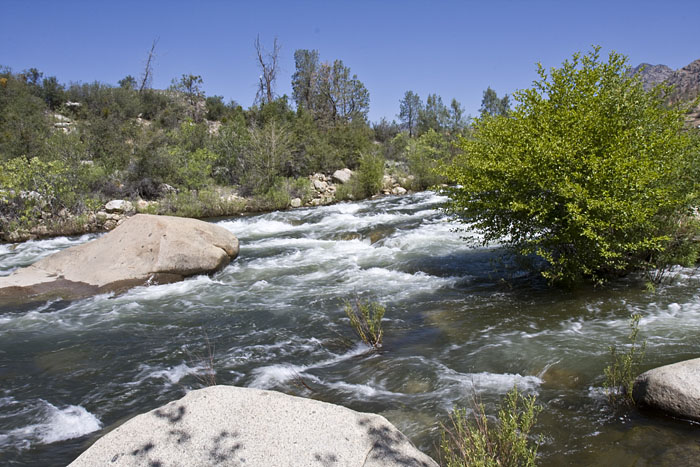 Kaweah River