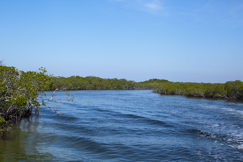 Mit einem Glasbodenboot fahren wir auf's Meer hinaus