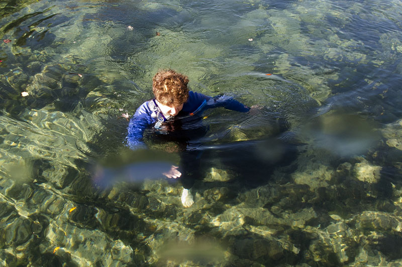 Vroni ist schon im Wasser