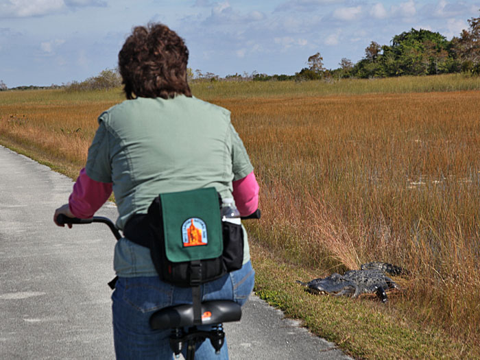 Unterwegs durch die Everglades