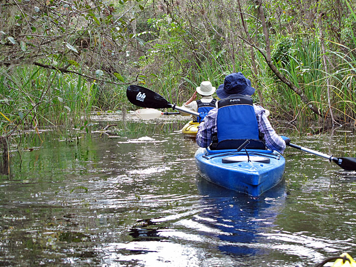 Kajakfahrt auf dem Turner River