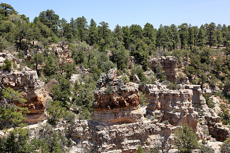 Am Walhalla Overlook