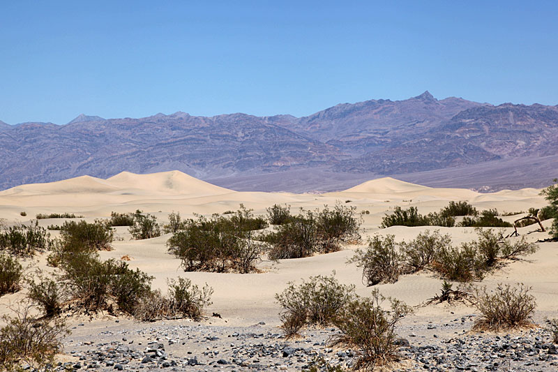 Die Dünengebiete im Death Valley ...