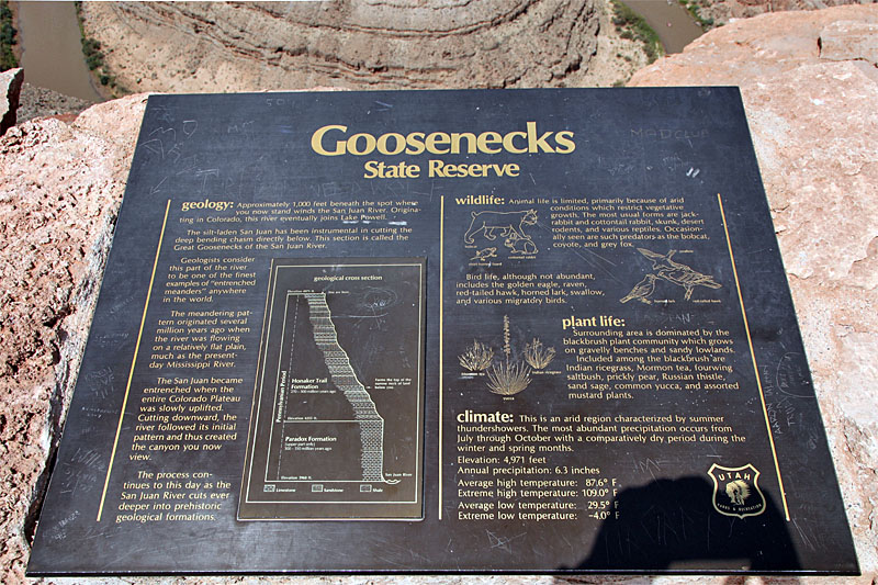 Einer der zahlreichen Goosenecks des Colorado River