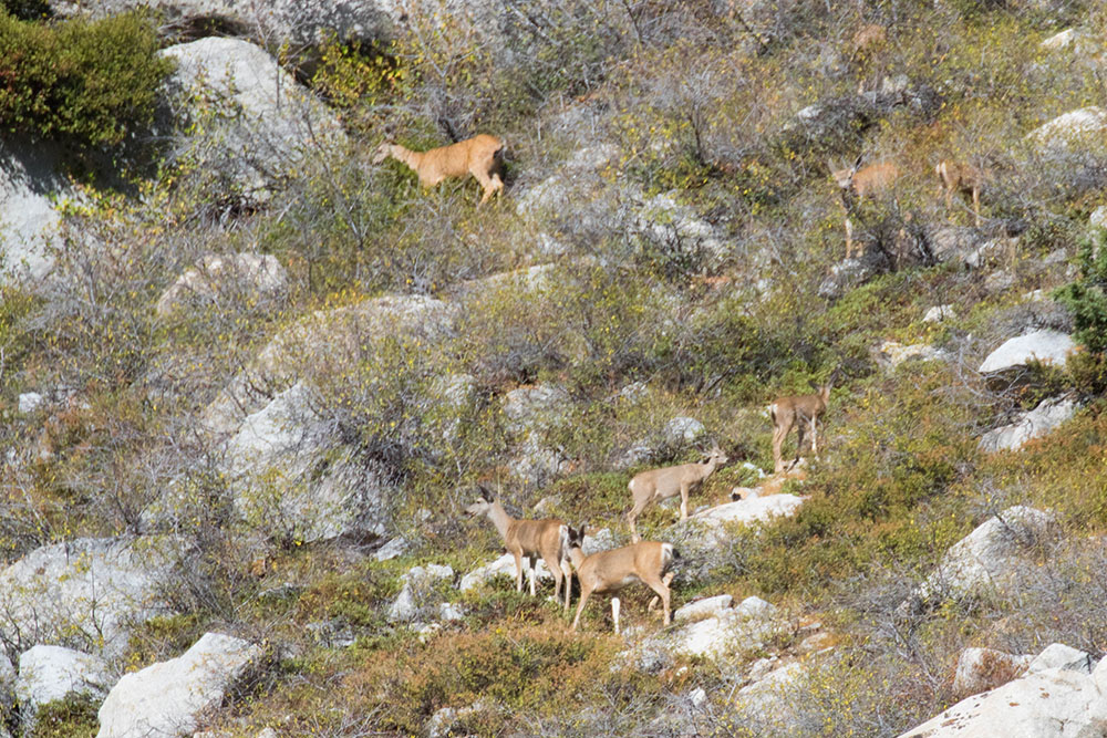 Oben auf dem Berg wird auch gefrühstückt ;-)
