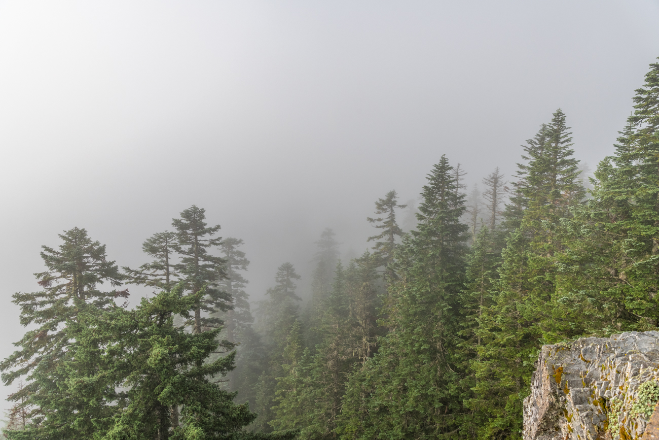 ... genießen wir die tolle Aussicht auf den Nebel :-(