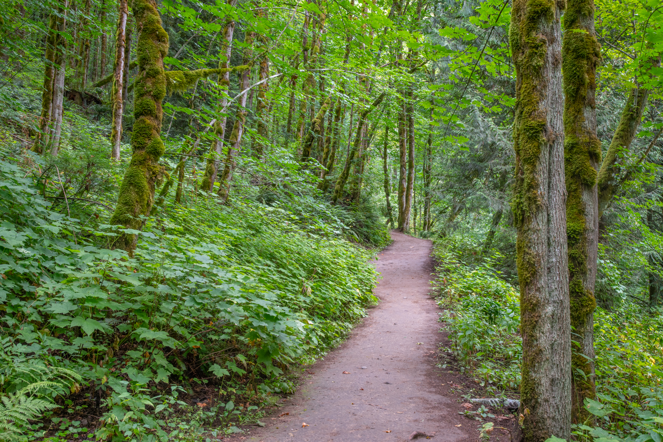 Wanderweg zum oberen Latourell Wasserfall