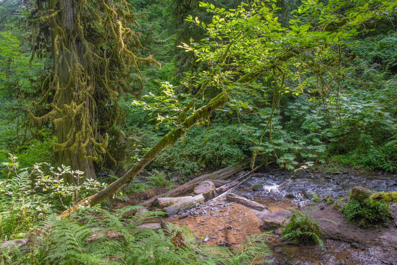 Der Latourell Creek