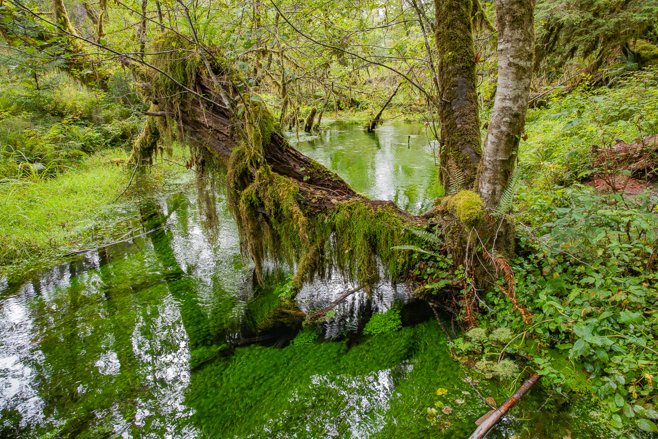 Verwunschene Landschaft