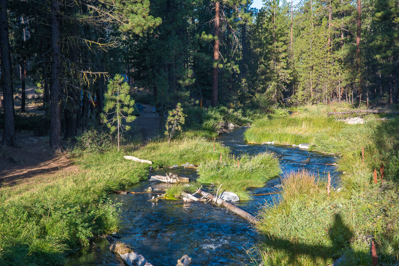 Der Paulina Creek fließt durch den Campground