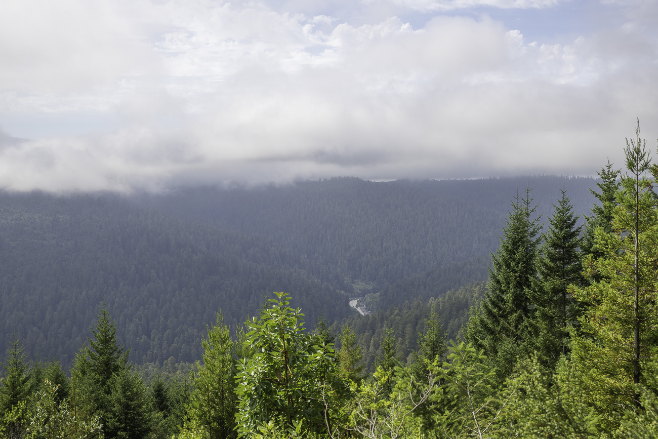 Aussicht ins Tal. Wegen einer akuten Bärenwarnung, verzichten wir auf die geplante Wanderung